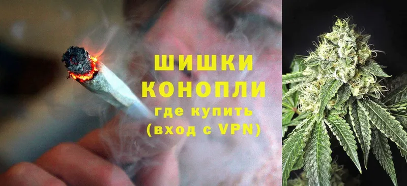 Бошки марихуана White Widow  цены наркотик  Верхняя Тура 